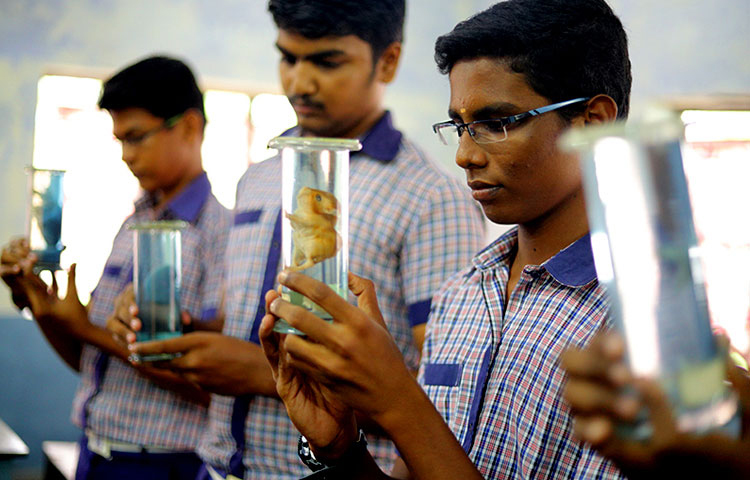 Merit Matriculation